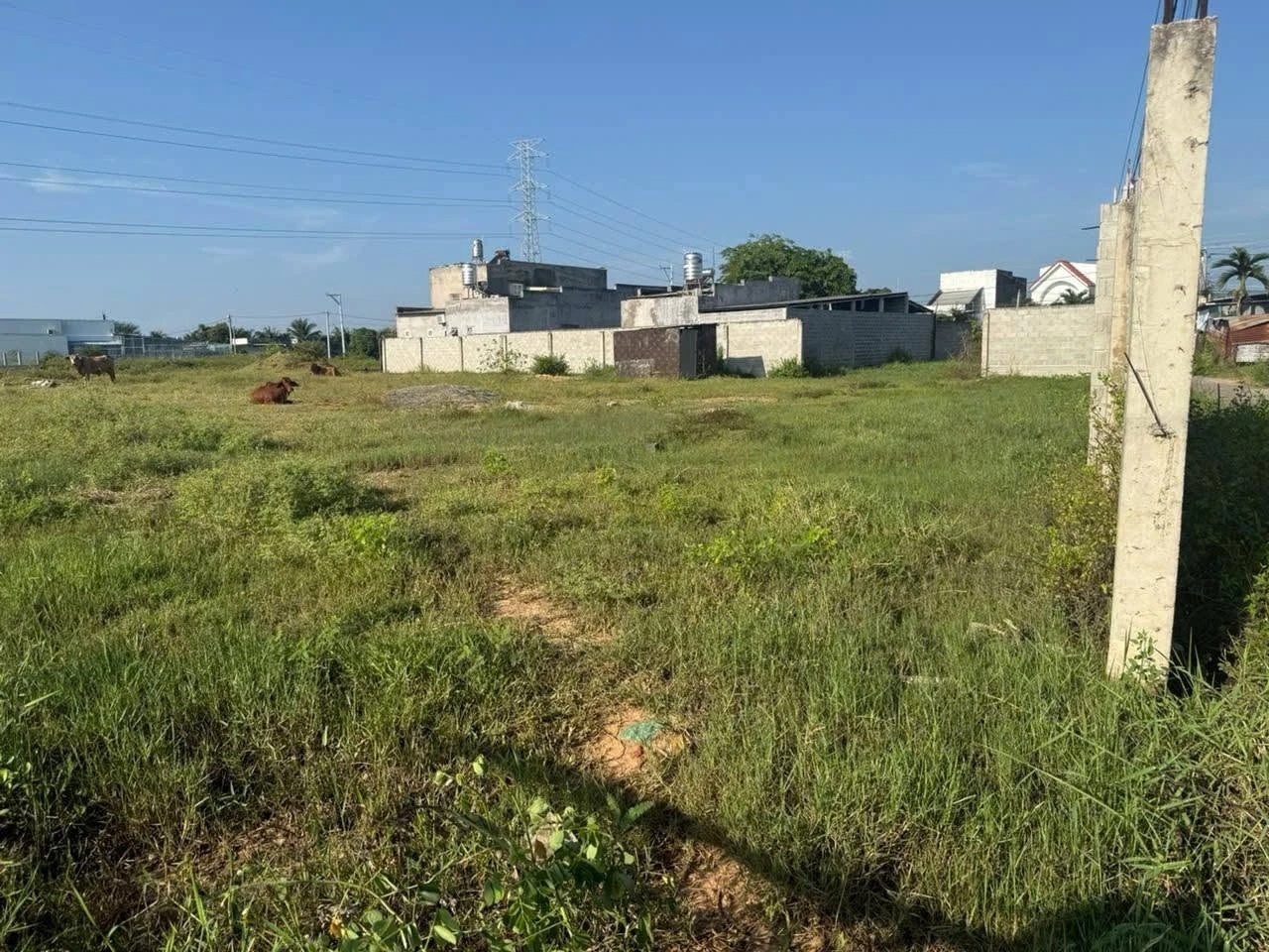 Bán đất 1.777,5 m² Khu Cá Đồng Hàm Thắng Bình Thuận 13 tỷ - Ảnh 1