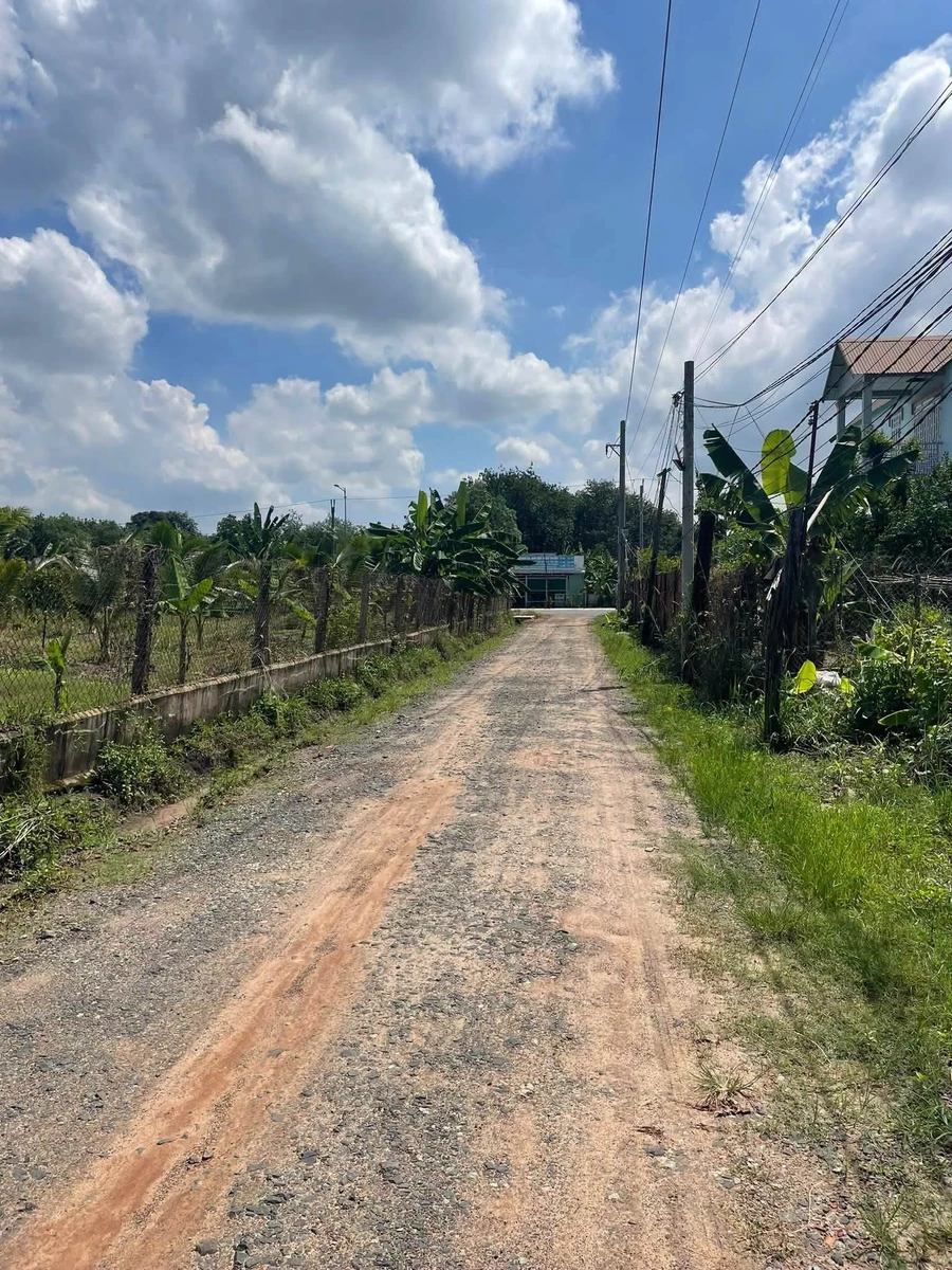 Bán lô đất 500m² có nhà cấp 4, đường Họa Mi, 1 tỷ - Ảnh 1