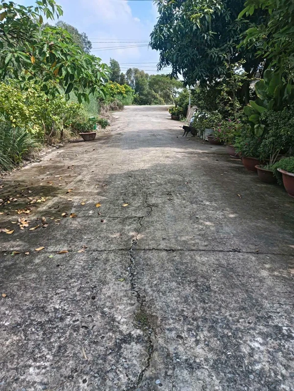 Bán đất thổ 80m² Thạnh Hóa Long An 500 triệu