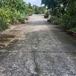 Bán đất thổ 80m² Thạnh Hóa Long An 500 triệu - Ảnh thu nhỏ 1