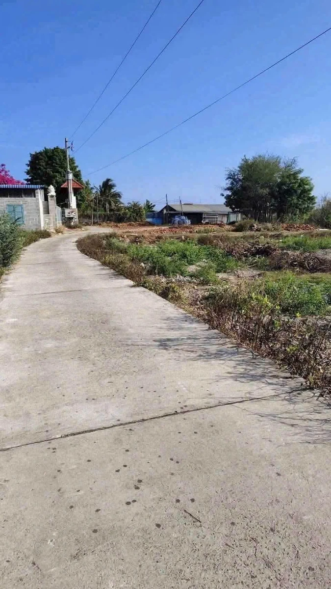 Bán lô đất thổ cư 100m2 sau chợ Phú Long, Quận 12 - Ảnh thu nhỏ 2