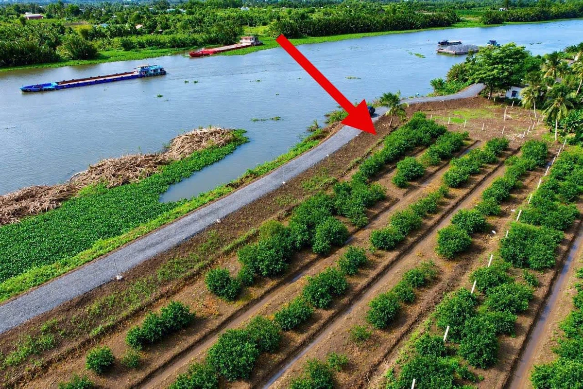 Bán lô góc 690m² 2 mặt tiền view sông Thạnh Hòa, Bến Lức - Ảnh thu nhỏ 4