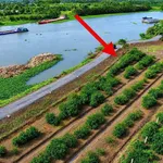 Bán lô góc 690m² 2 mặt tiền view sông Thạnh Hòa, Bến Lức - Ảnh thu nhỏ 4