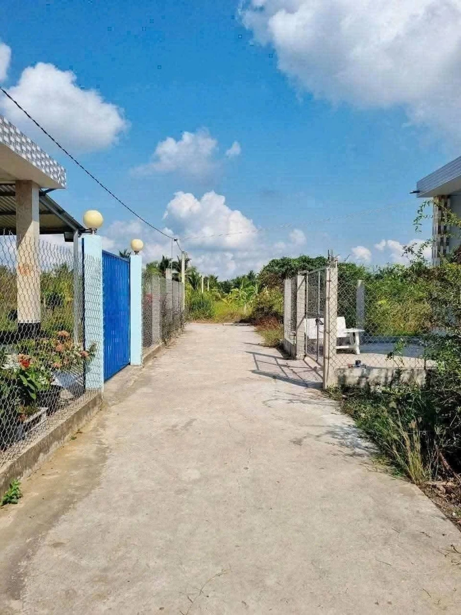 Bán đất Tam Phước 145m² 1,2 tỷ, Nhà Bè - Ảnh thu nhỏ 2