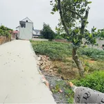 Bán đất 754m2 (117m2 ở) tại xã Xuân Mai Hà Nội - Ảnh thu nhỏ 4