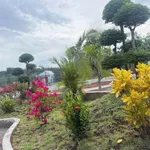 Bán đất vườn 1.800m² Phú Giáo 3 tỷ 490 triệu - Ảnh thu nhỏ 4