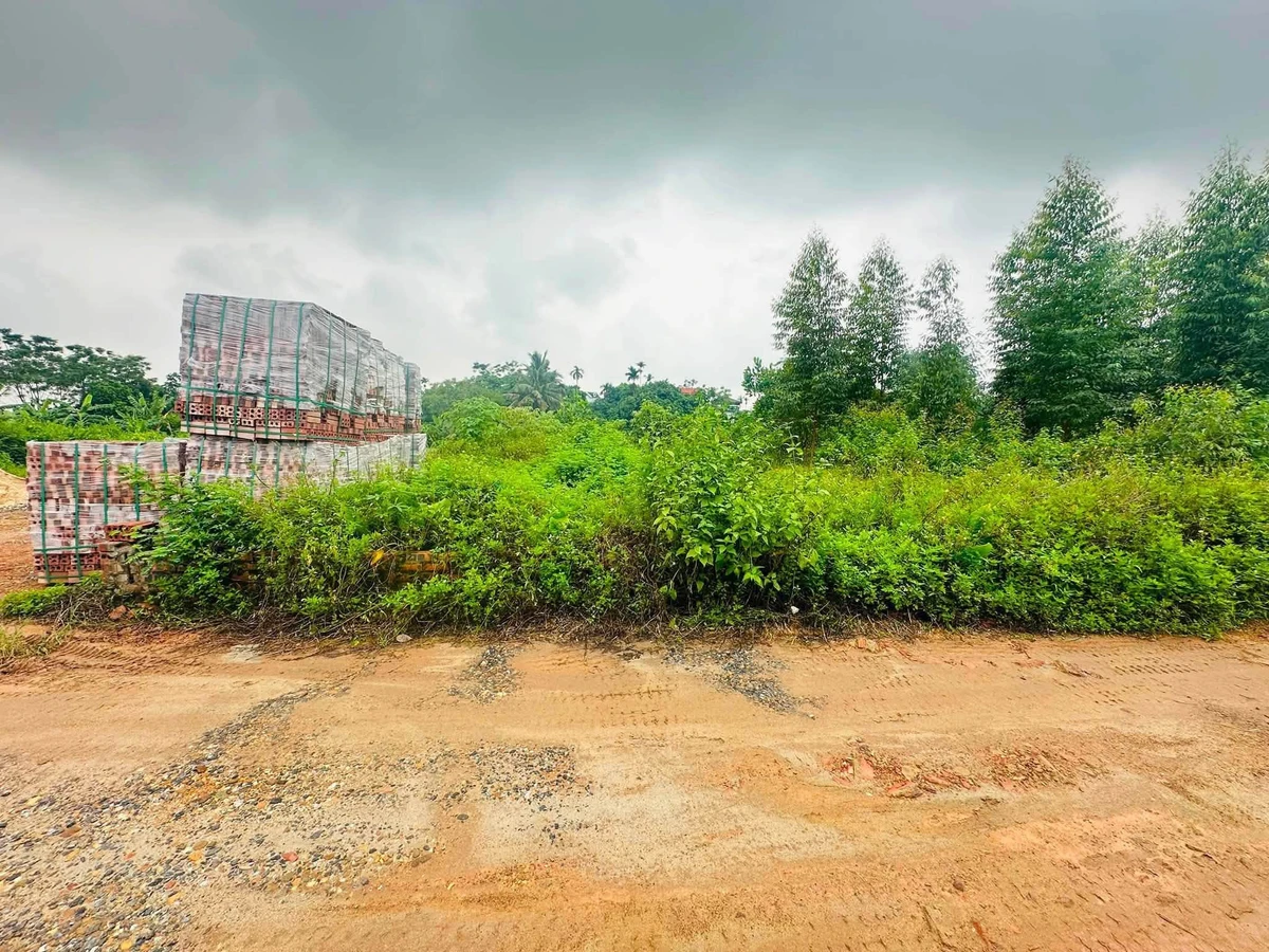 Bán đất 100m2 giá nhỉnh 300 triệu tại Tam Nông, Phú Thọ - Ảnh thu nhỏ 5