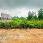Bán đất 100m2 giá nhỉnh 300 triệu tại Tam Nông, Phú Thọ - Ảnh thu nhỏ 5