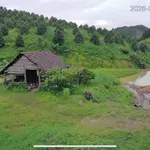 Bán 5,5 ha đất sầu riêng Mỹ Đức 4 tỷ - Ảnh thu nhỏ 1
