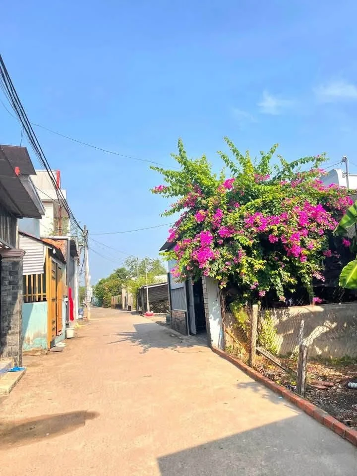 Bán đất Sông Trầu Trảng Bom 715,8 m² sổ riêng 3,8 tỷ - Ảnh thu nhỏ 2