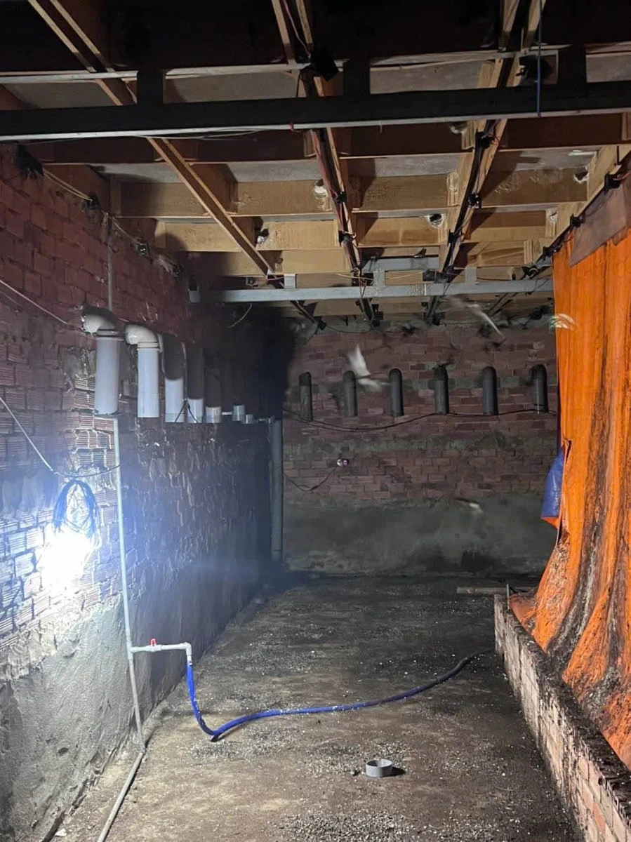 Bán đất thổ cư 10x45m kèm nhà yến 3 sàn gần KCN Giang Điền, An Viễn, Đồng Nai - Ảnh thu nhỏ 4