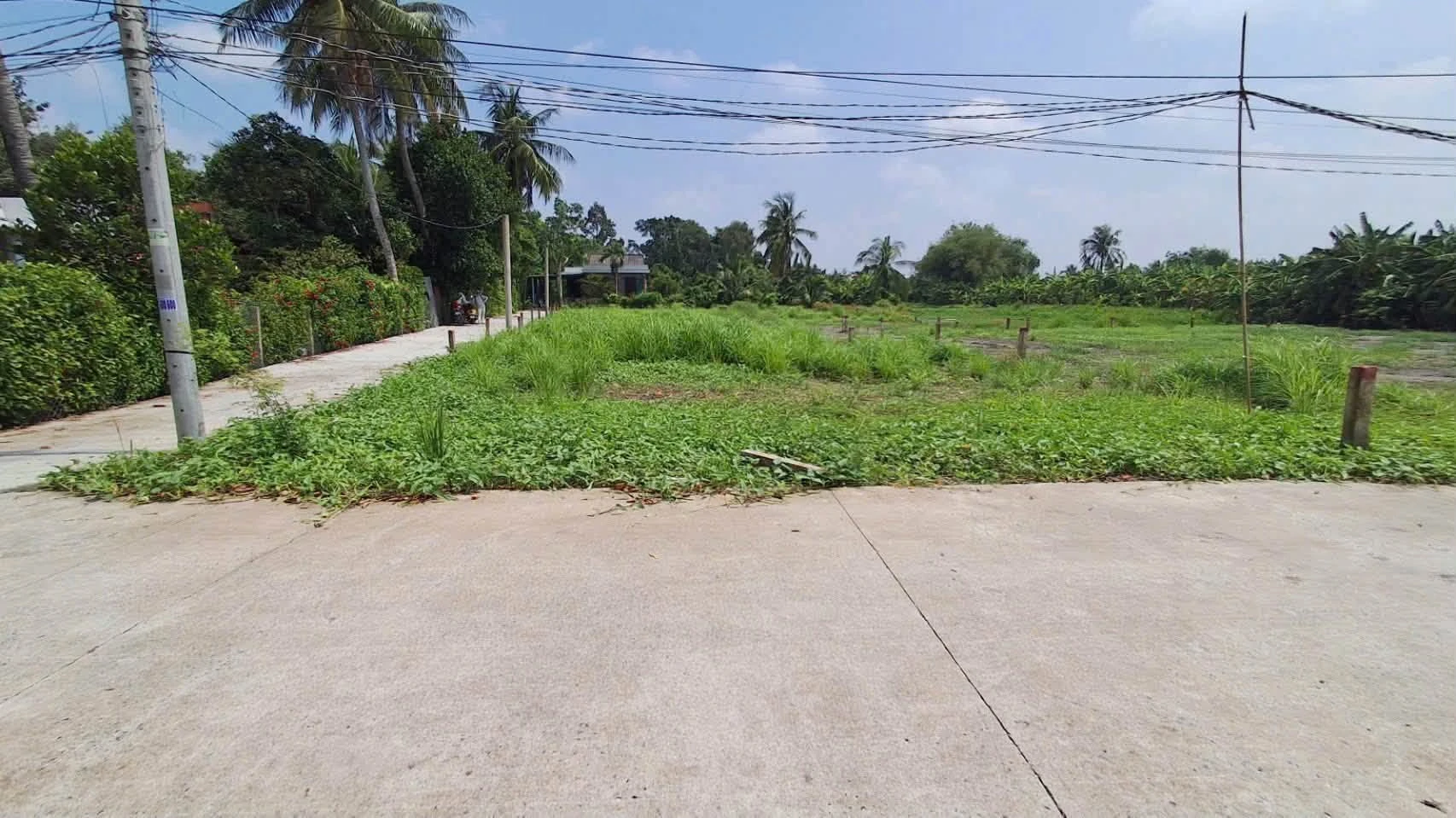 Bán đất thổ cư 5x15m (75m2) giá 315 triệu tại Bình Lãng, Tân Trụ, Long An - Ảnh 1