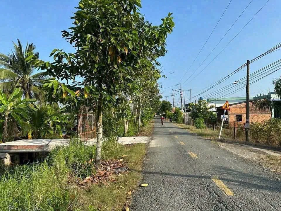 Bán đất mặt tiền 1100m2 gần Tân An, Long An - Ảnh 1