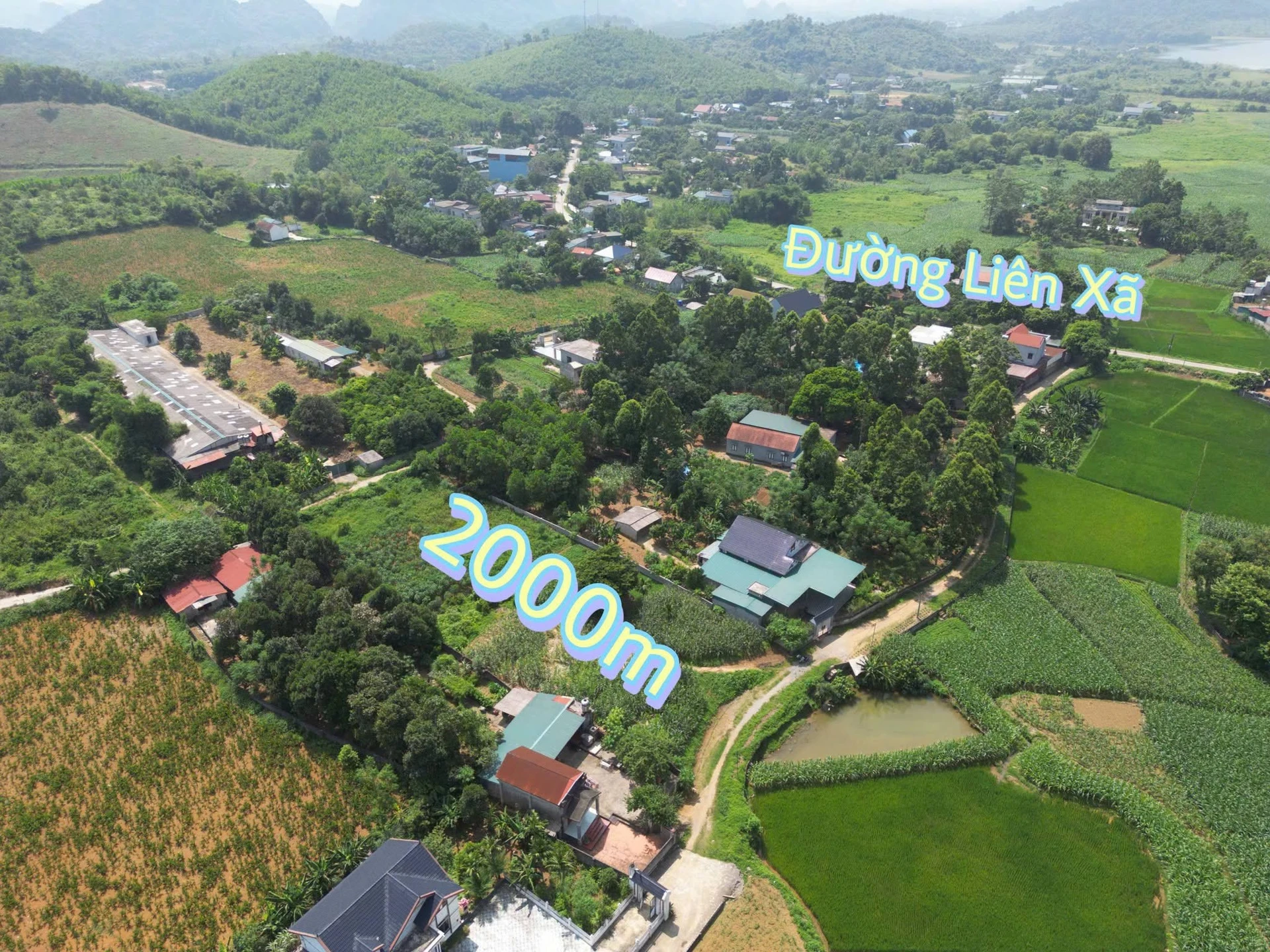 Bán đất xưởng 2000m² Cao Dương, Hà Nội giá 3 tỷ - Ảnh 1