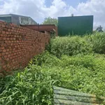 Bán đất nông nghiệp 6x17m hẻm 35 Tạ Quang Bửu, giá 250 triệu - Ảnh thu nhỏ 2