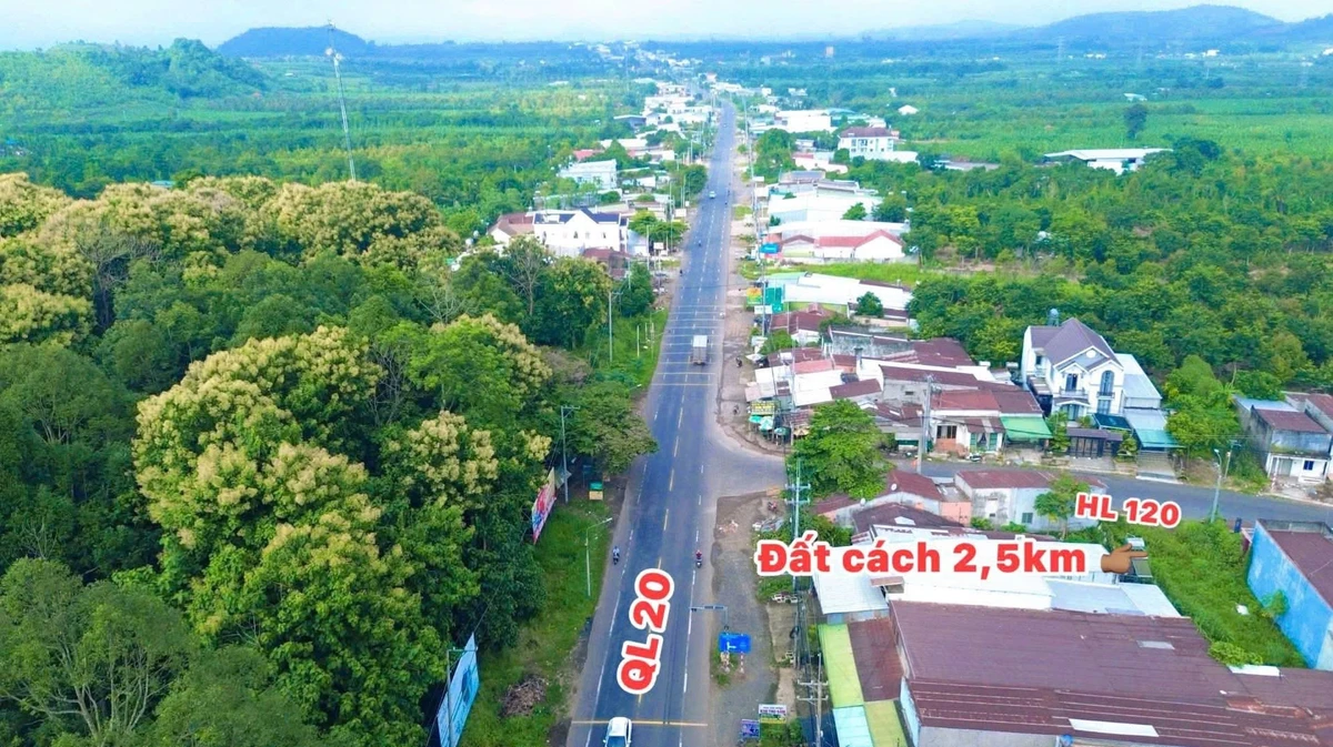 Bán đất Đồng Nai 115m2 giá 299 triệu - Ảnh 1