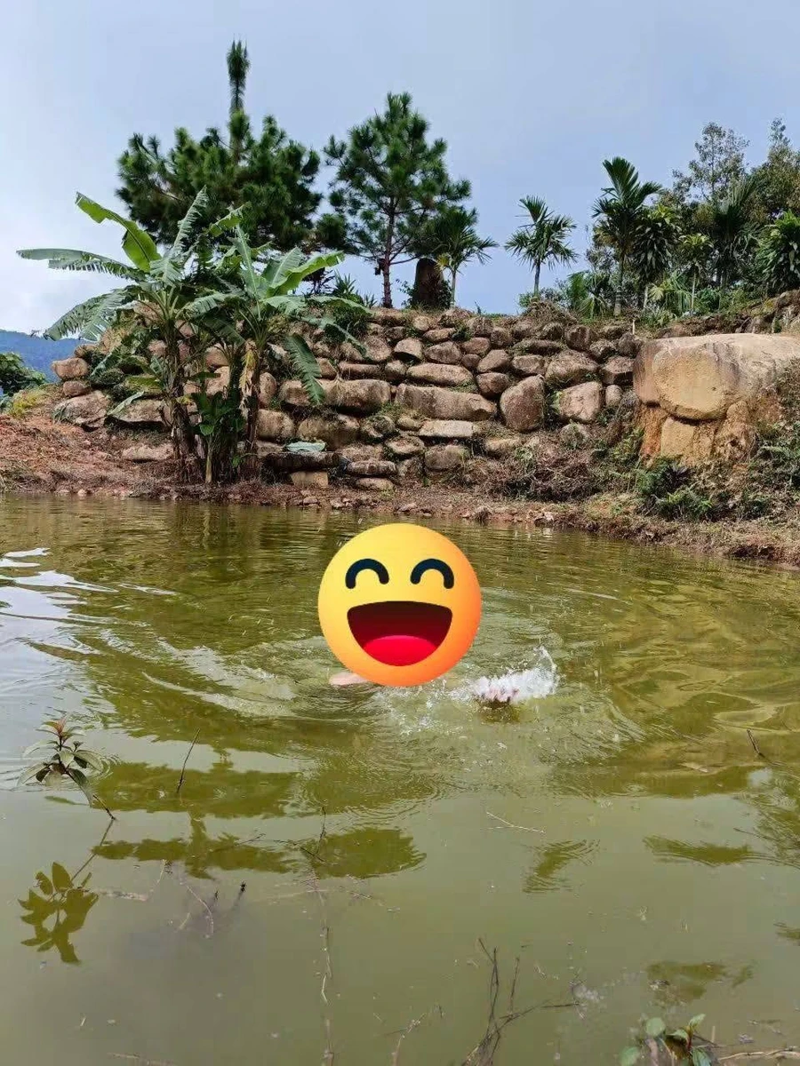 Bán đất 1 sào ở Lộc Nam, Bình Dương, giá 1 tỷ 3 - Ảnh thu nhỏ 3