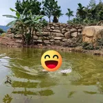 Bán đất 1 sào ở Lộc Nam, Bình Dương, giá 1 tỷ 3 - Ảnh thu nhỏ 3
