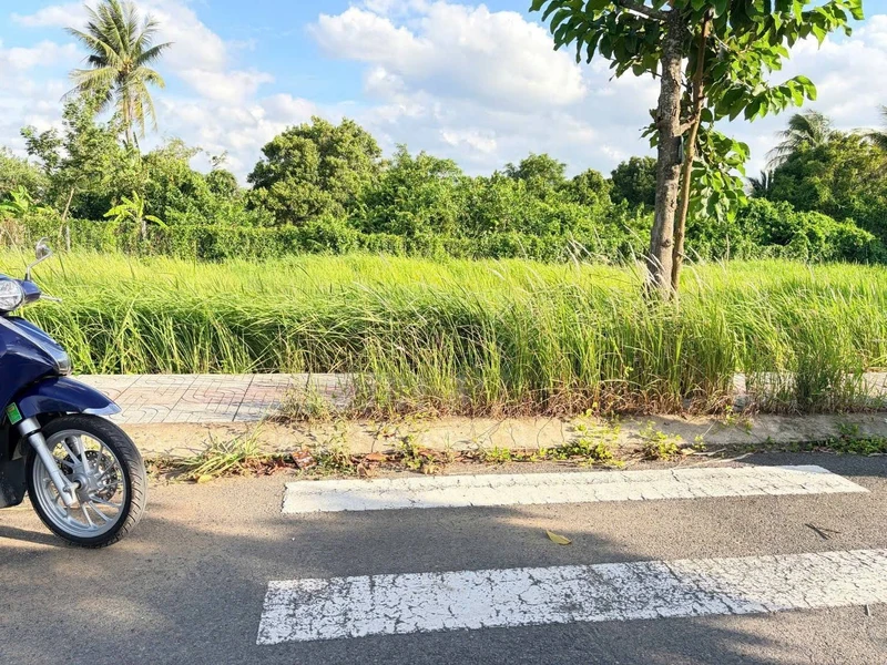Bán đất nền KDC Thuận Đạo Tây Ninh 102,5m² 1 tỷ 280