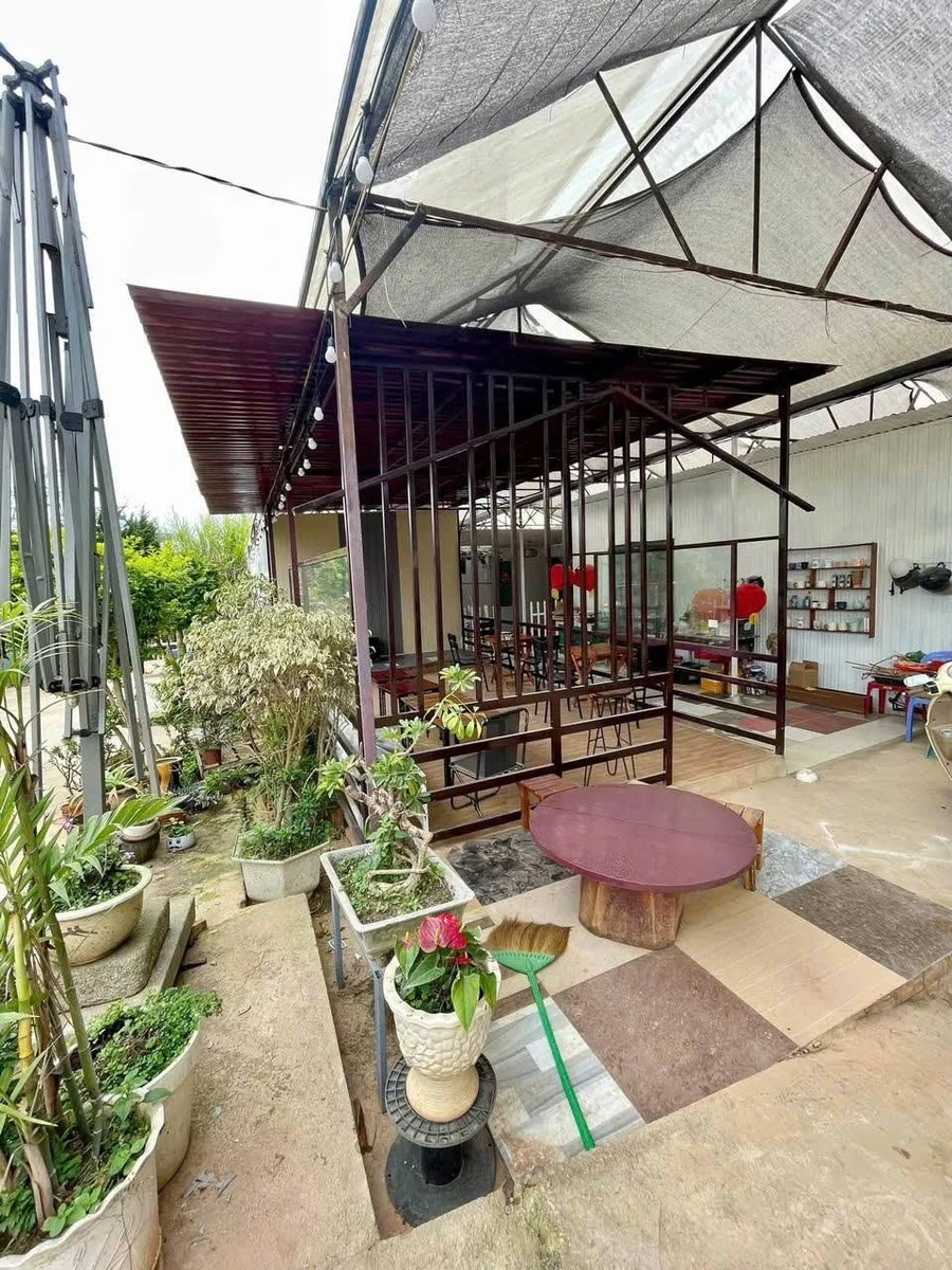 Cho thuê mặt bằng 250m2 kinh doanh Đà Lạt 19 triệu/tháng - Ảnh thu nhỏ 5