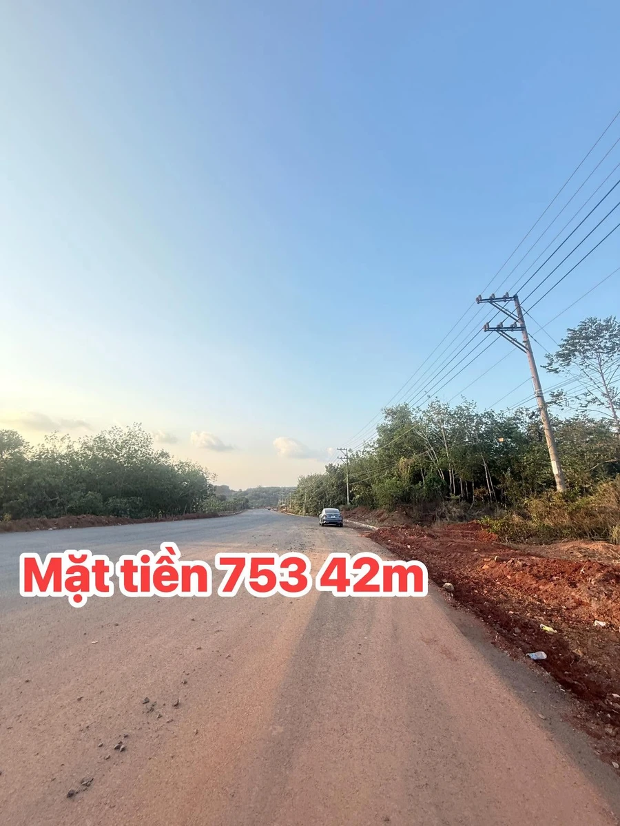 Bán đất mặt tiền Đường 753 Đồng Nai 2475m² - 139 triệu - Ảnh thu nhỏ 4