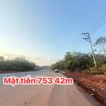 Bán đất mặt tiền Đường 753 Đồng Nai 2475m² - 139 triệu - Ảnh thu nhỏ 4