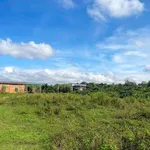 Bán đất nông nghiệp 1.800m² ở Eakao, Đắk Lắk 1,15 tỷ - Ảnh thu nhỏ 4