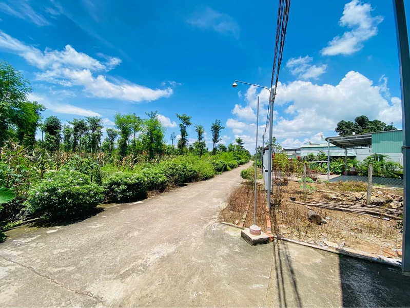 Bán đất bằng phẳng Cẩm Mỹ 1.575m² sổ sẵn