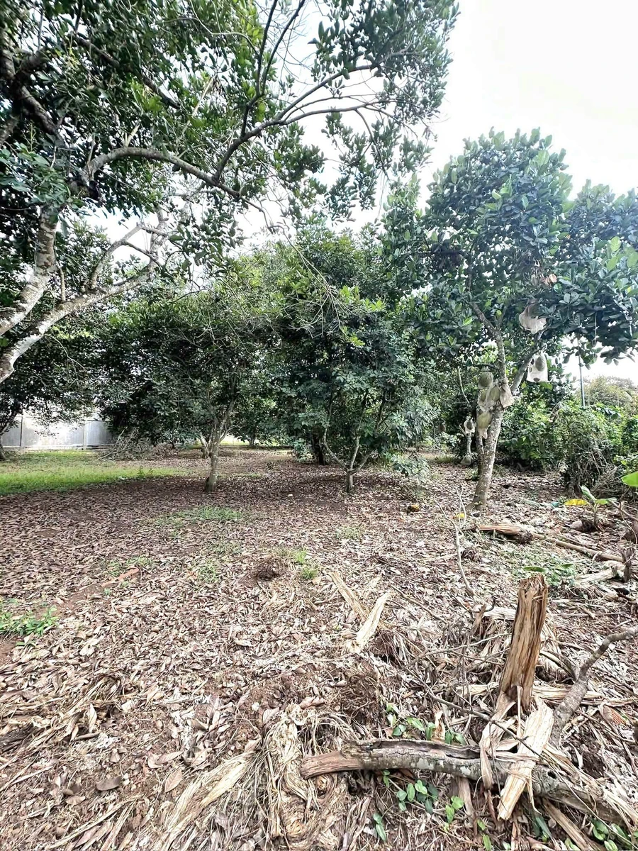 Bán đất vườn 100m² tại Phường Bảo Vinh, giá 1 tỷ 6 - Ảnh thu nhỏ 3