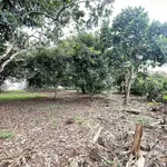 Bán đất vườn 100m² tại Phường Bảo Vinh, giá 1 tỷ 6 - Ảnh thu nhỏ 3