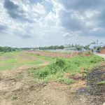 Bán đất An Nhơn, Châu Thành - đường thông từ cầu Nguyễn Huệ về Sa Đéc, cách chợ Cái Tàu Hạ 900m - Ảnh thu nhỏ 7