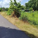 Bán đất mặt tiền đường nhựa 576m2 xã An Nhơn Tây, Củ Chi - Ảnh thu nhỏ 4