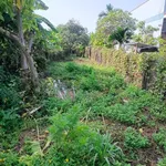 Bán đất đường Nghĩa Thành 250m², giá 1 tỷ 350 - Ảnh thu nhỏ 2