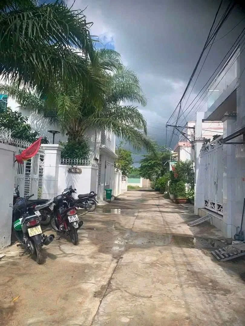 Biệt thự 250m² full thổ cư Ao Lục Bình Phong Nẫm, 3,5 tỷ - Ảnh 1
