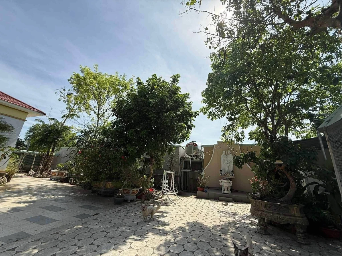 Bán nhà vườn biệt thự kèm gần 100 phòng trọ, gần 5000m2, 17 tỷ, Bàu Bàng - Ảnh thu nhỏ 5