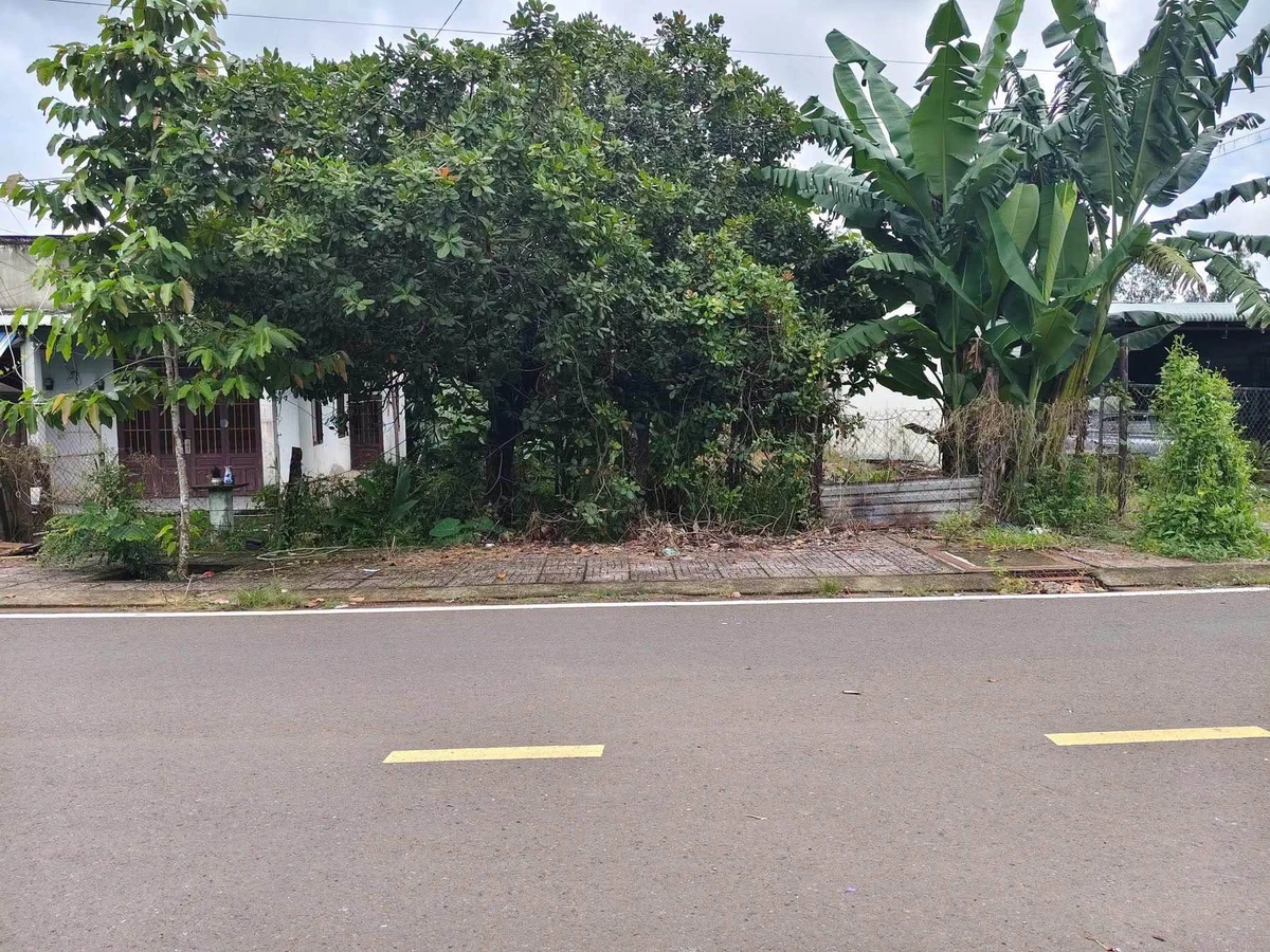 Bán đất Tân Bình 532m² giá 1,5 tỷ - Ảnh thu nhỏ 3