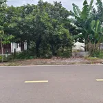 Bán đất Tân Bình 532m² giá 1,5 tỷ - Ảnh thu nhỏ 3