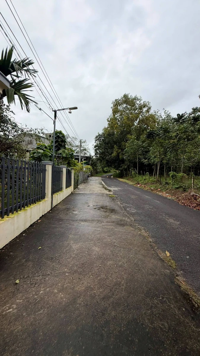 Bán đất 1123m2 tại xã Thanh Hoà, Bù Đốp, Bình Phước - Ảnh thu nhỏ 3