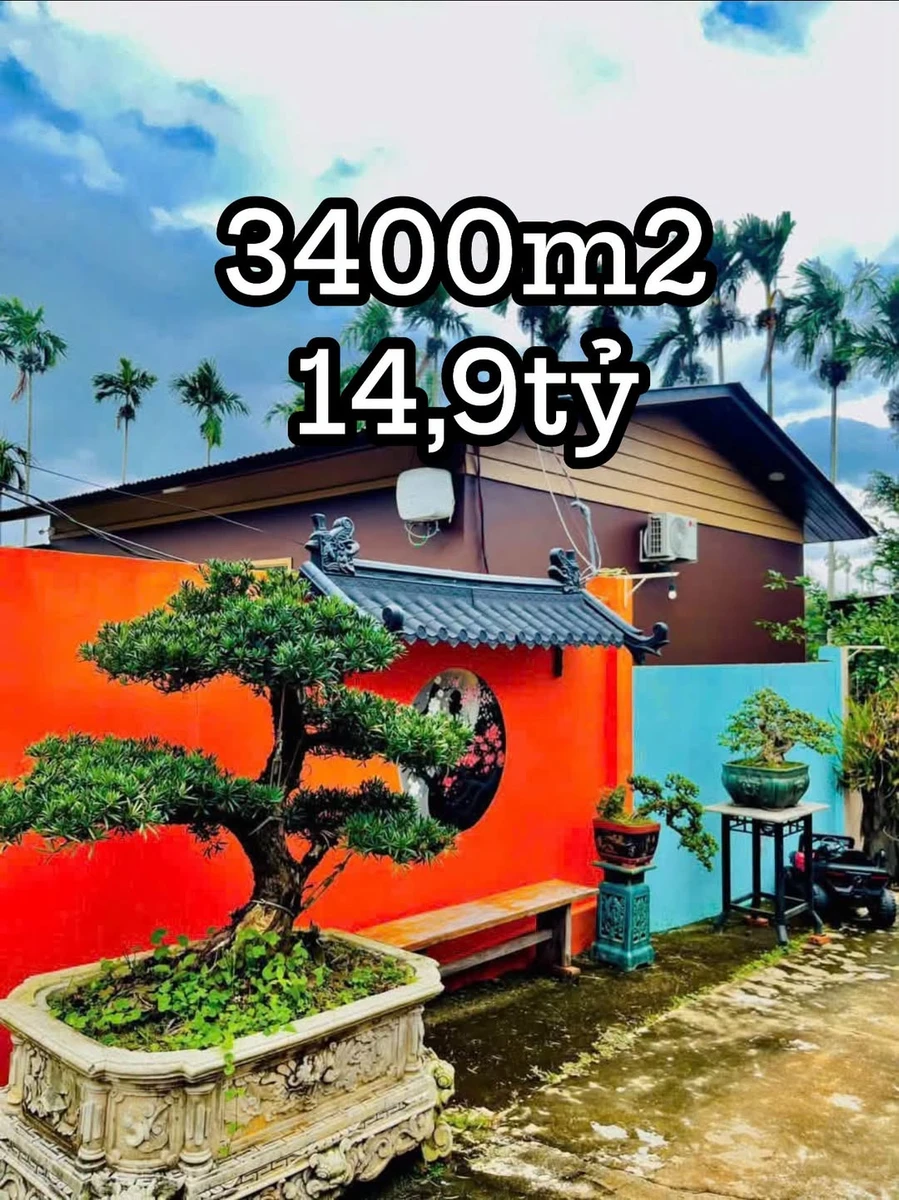 Bán nhà vườn 3400m² view đẹp cạnh KDL Đồi Thông Bình Minh - Ảnh 1