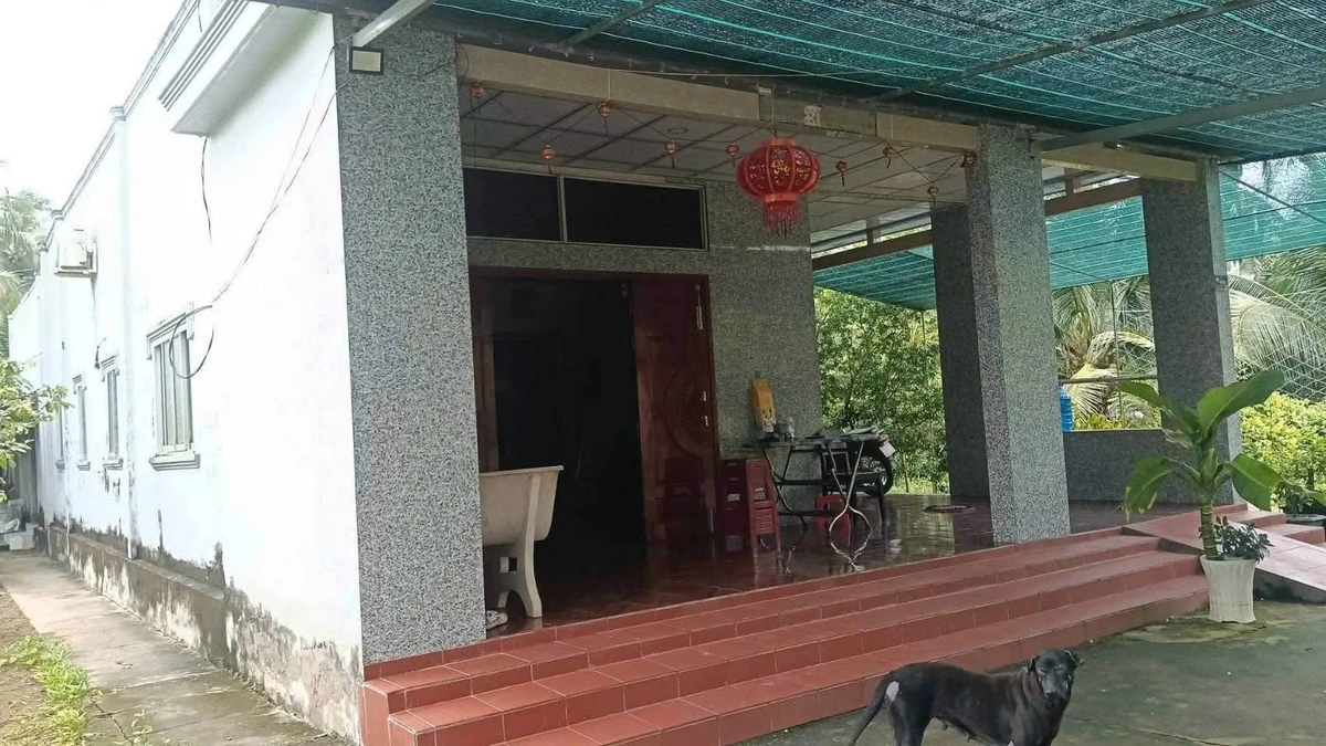Bán vườn dừa 12 công (1,2 mẫu) có 200m2 thổ cư, tặng nhà cấp 4 tại Châu Bình, Giồng Trôm, Bến Tre - Ảnh thu nhỏ 2