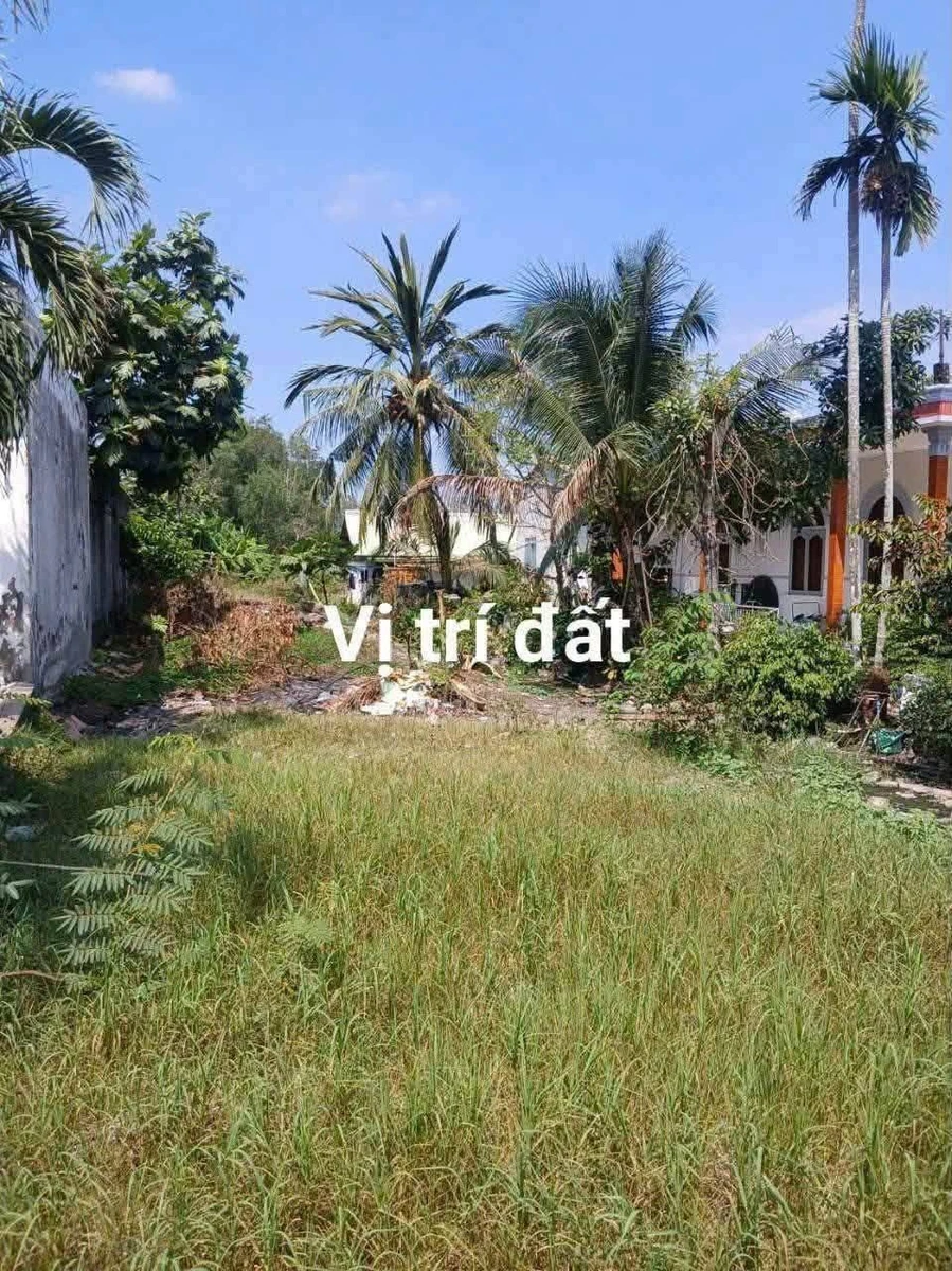 Bán đất 190m² mặt tiền TL824 Bến Lức, Long An, giá 6.5 tỷ - Ảnh thu nhỏ 3