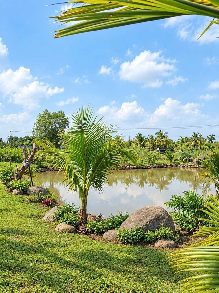 Bán đất 1.000m² mặt tiền bê tông 37m, view núi, giáp ranh Bảo Vinh, Long Khánh - Ảnh thu nhỏ 3