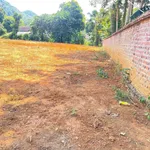Bán đất 1700 m² thổ cư tại Lạc Sơn, Hòa Bình - Ảnh thu nhỏ 5
