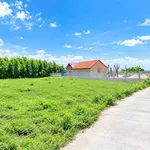 Bán đất 1000m2 Phan Thiết, sổ hồng, mặt tiền 36m - Ảnh thu nhỏ 5