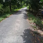 Bán đất tại Mỹ Hòa, Tháp Mười, Đồng Tháp, 6,2 tỷ, 1205 m2 - Hot! View đẹp - Ảnh thu nhỏ 5