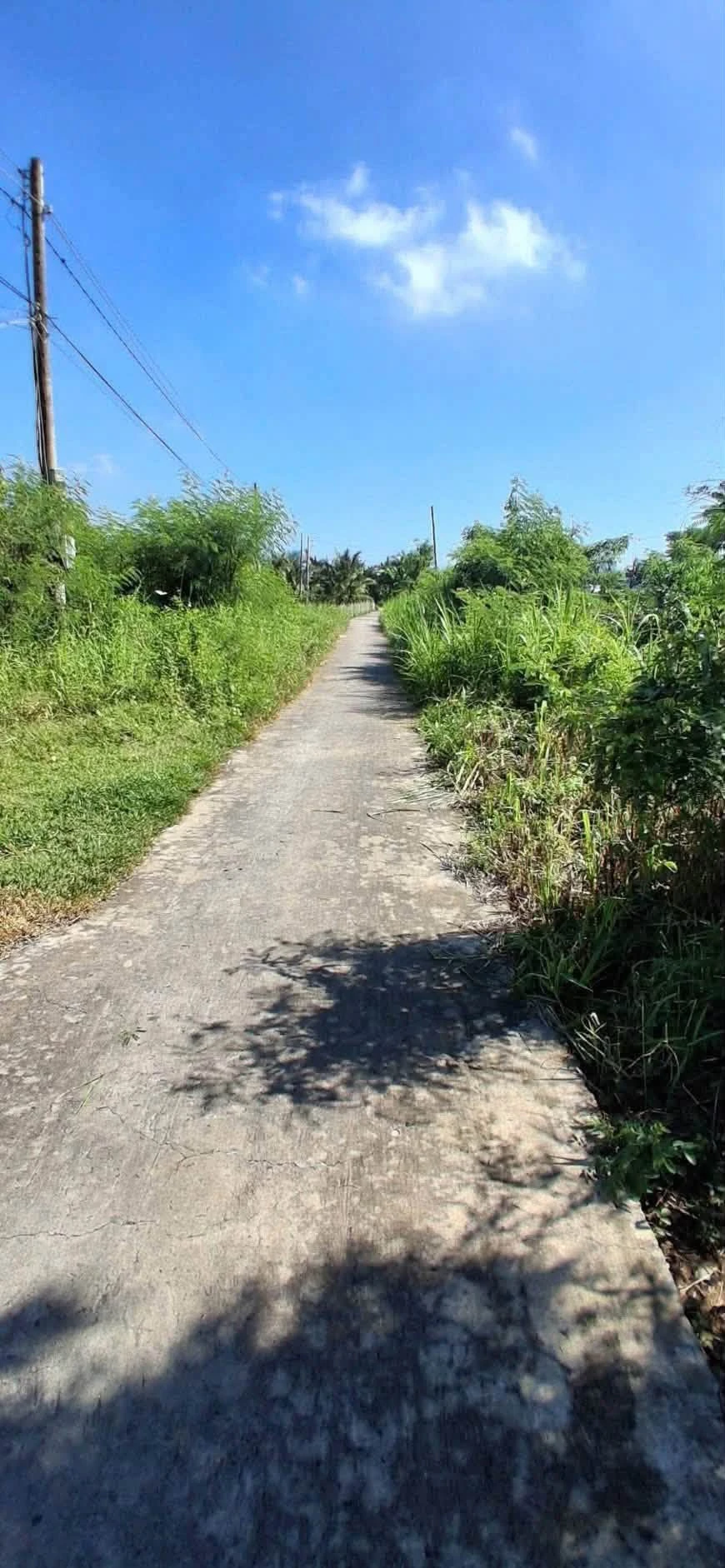 Bán đất nền 100m² ở Gò Công, Tiền Giang - Ảnh 1