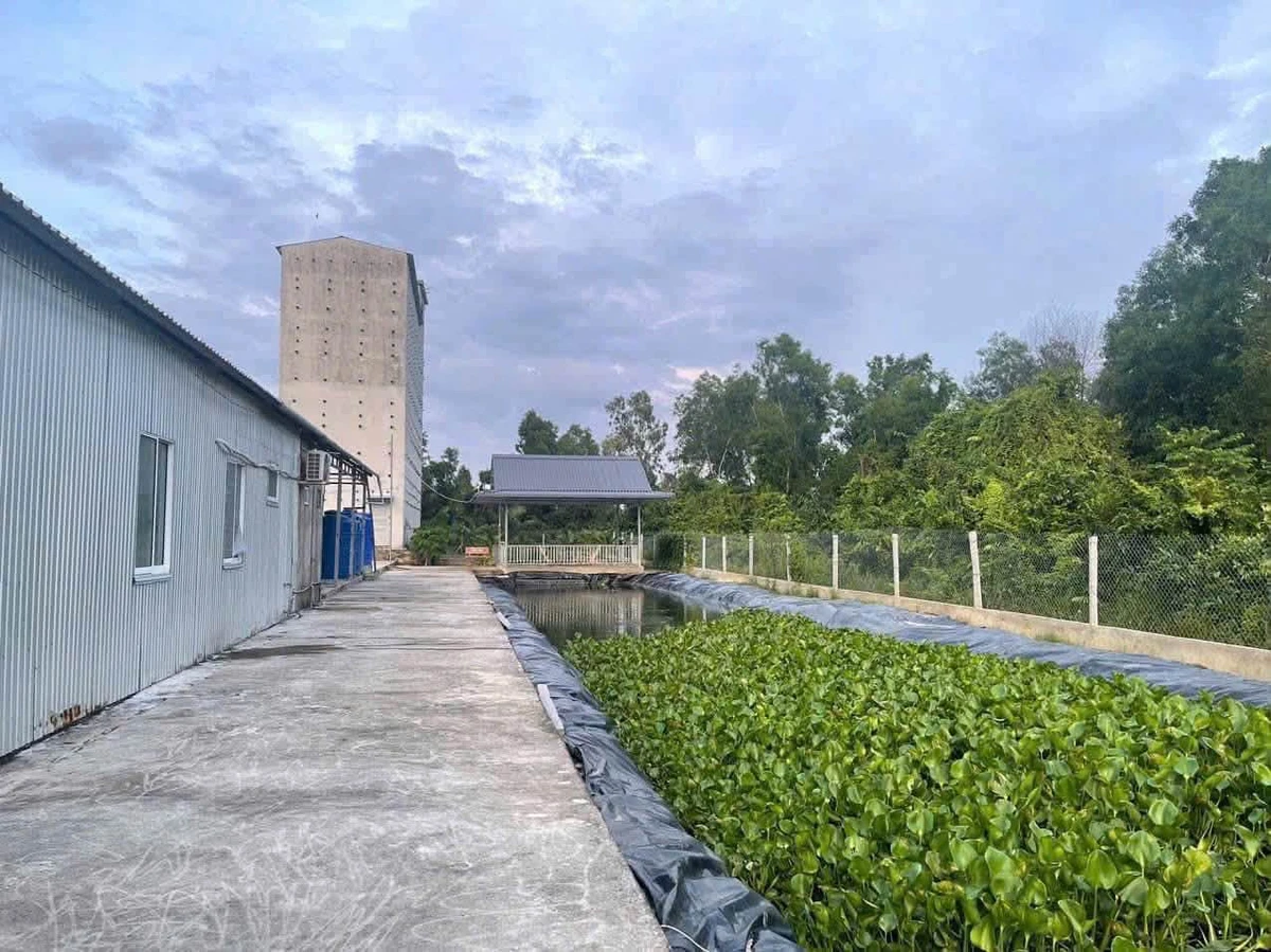 Chuyển nhượng nhà vườn mặt tiền Lình Huỳnh Rạch Giá 2730m², 4 tỷ 450 - Ảnh thu nhỏ 4