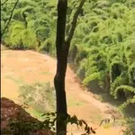 Bán 3,8 ha cao su Đồng Tâm, Đồng Nai, 1,3 tỷ/ha - Ảnh thu nhỏ 2