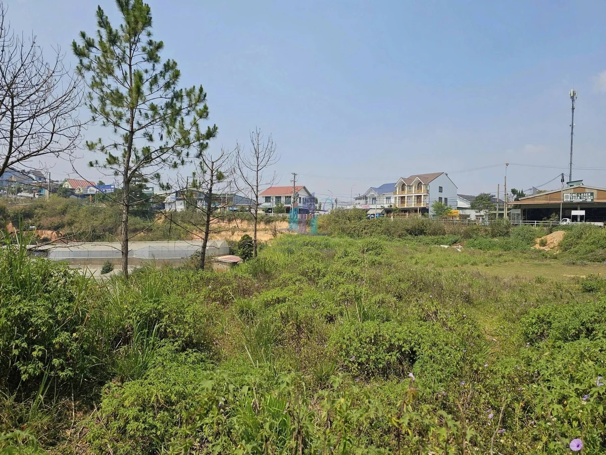 Bán đất Đà Lạt 3.087m² Phường Lang Biang 37 tỷ - Ảnh thu nhỏ 2