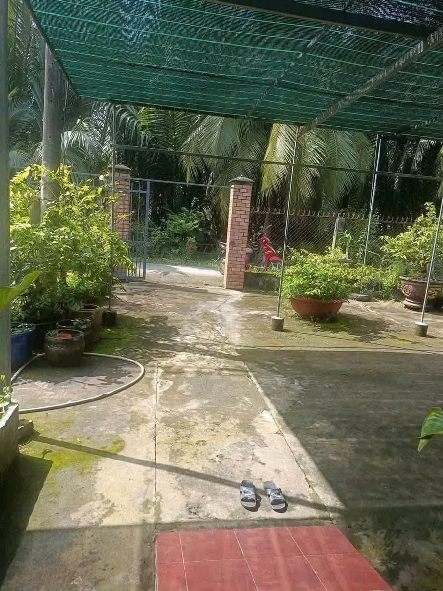 Bán đất Châu Bình 12.000m² 330 triệu/công - Ảnh thu nhỏ 3